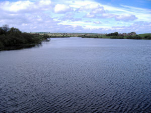 View of Scout Dike Reservoir in early Spring.