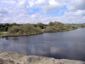 Scout Dike Reservoir in Spring.